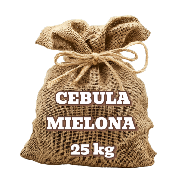 Cebula mielona 25 kg HURT Agnex