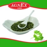 Liść pietruszki Agnex - obrazek 4